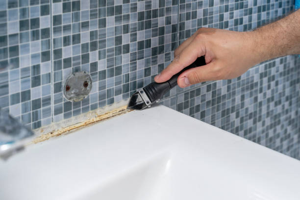 Best Professional Mold Removal  in Lakeview, CA