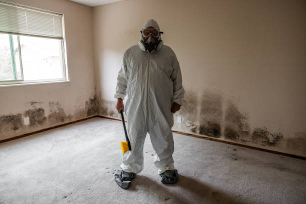 Office Mold Removal Services in Lakeview, CA