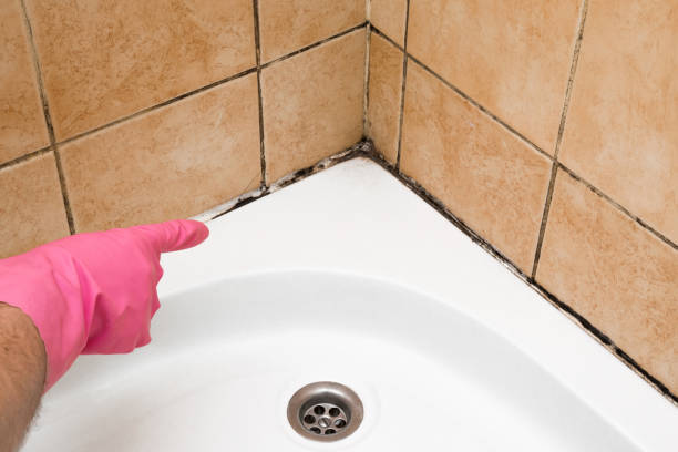 Best Mold Testing  in Lakeview, CA